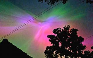 Press camera club member Annie Greenhouse got this shot of the Nothern Lights from her garden in Heworth last night