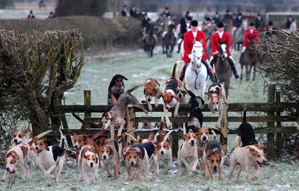 The Derwent Hunt gathered for the New Year’s Day Meet at Thornton-le-Dale. Although the meet were unable to go ahead due to the weather, the hounds and horses did get some excersie.
