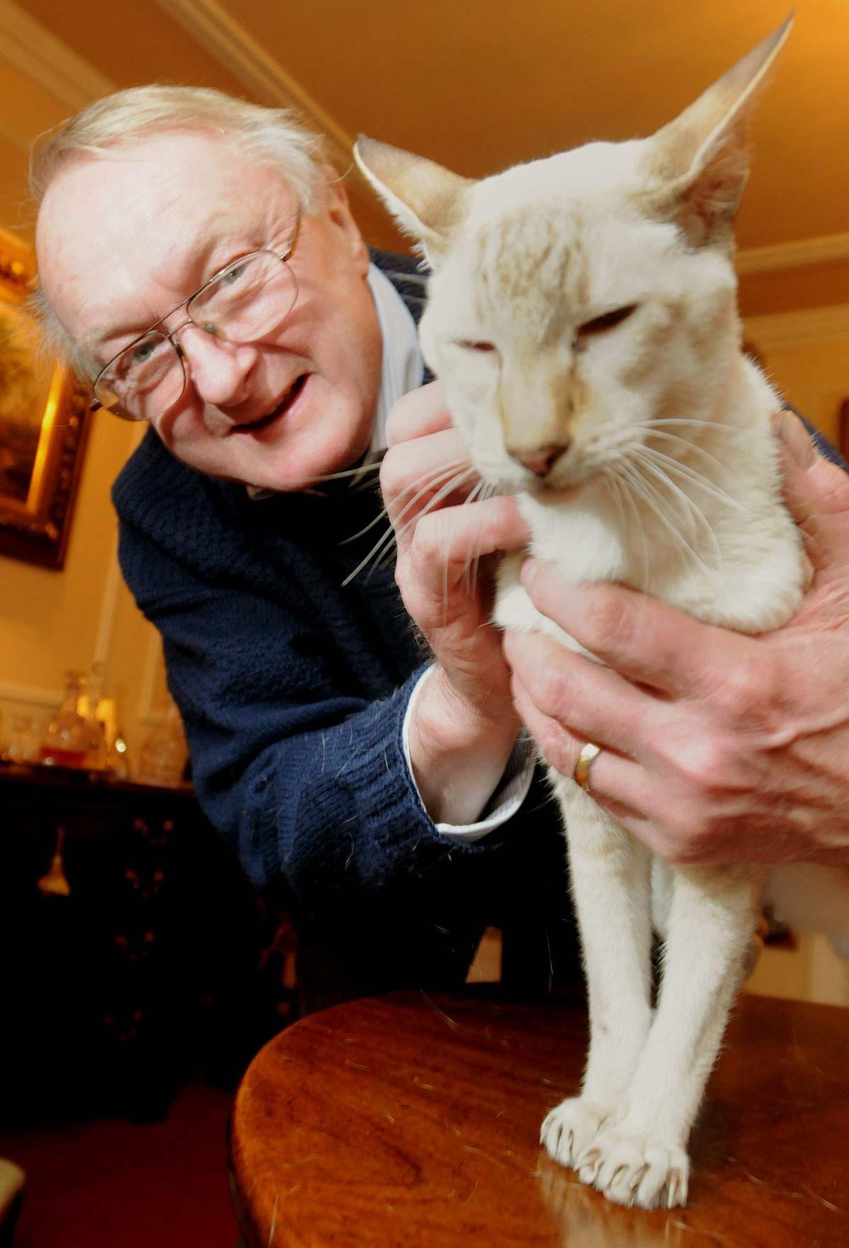 Antiques dealer David Lloyd-Williams with Benson the cat, who he discovered while carrying out a house clearance.