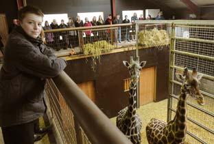 Sam Lowe, from Lady Lumley’s School, Pickering, meets the residents in the giraffe enclosure at Flamingoland as part of the new national diploma courses, due to be officially launced in Septermber.
