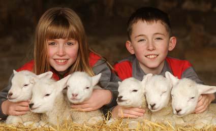 Victoria and George Heaps pictured with the Lleyn sheep sextuplets  born at Hall Farm, Welham.