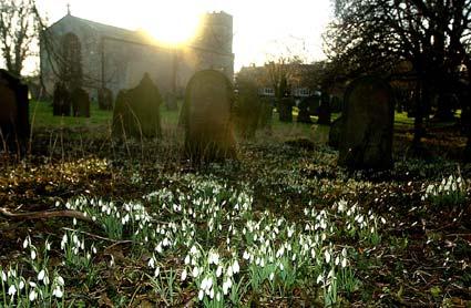 Sun sets over Langton church as late afternoon light catches the snowdrops in the churchyard.
