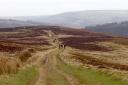 Moorland walk at Glaisdale