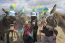 Lucy Butterfield and Ellis Floyd, in hat, with the Scarborough donkeys as they prepare for the arrival of a different kind of rider when the inaugural Tour de Yorkshire arrives