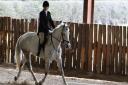 A competitor taking part in the winter dressage at Friars Hill Stables, Sinnington