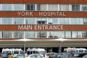 York Hospital.
