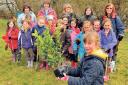 1st Norton Brownies plant trees in Malton to celebrate their 60th anniversary