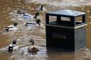 Ducks swim around a litter bin outside Beck Isle Museum in Pickering, but the museum avoided major damage