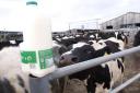 Milk prices slide again