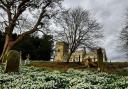 Snowdrops at St Matthew's Church in Hutton Buscel Picture: Dr Lucy Hobkinson