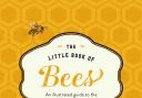 The Little Book of Bees, by Hilary Kearney