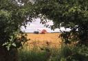Framed through the hedge, combine, tractor and trailer! Taken at Allerston by Jenny stead
