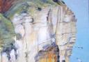 This painting of Bempton Cliffs is on show at Sledmere’s Triton Gallery