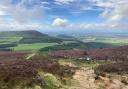 The North York Moors National Park Picture: Chloe Minting