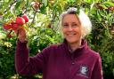 June Tainsh new manager at Helmsley Walled Garden.Pic Nigel Holland