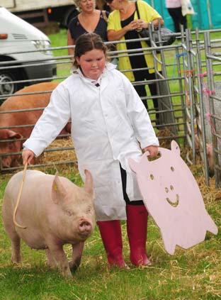Pictures from Ryedale Show 2010
