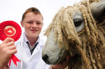  Liam Glaves , from Brompton with his Long Wool Leicester sheep.