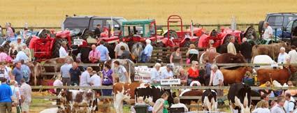 Ryedale Show 2010