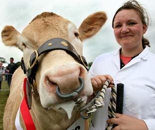 Jess Ellis, from Everingham,  with the Blonde Champion at the Malton Show, Everingham Duchess, 
