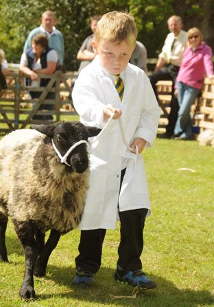 A young competitor at Rosedale Show.