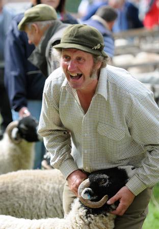 The sheep judging raises a smile at Farndale Show.