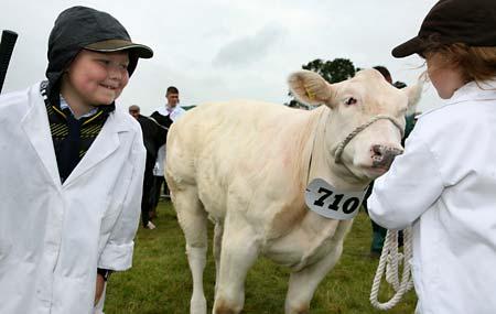 Emily Hamilton, 7, who won first in Young Handlers at Malton Show, with Joe Barker, and Snowy.