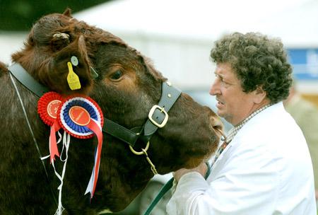 Paul Braithwaite gets up close to Arnie the bull, who won champion beef shorthorn at Ryedale Show
