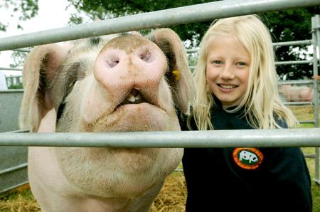 Nine-year-old Anya Beresford with Clover, a Gloucester Old Spot pig.