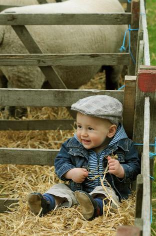 Six-month-old Alfie Teasdale, wearing his flat cap, watches his dad showing sheep. 