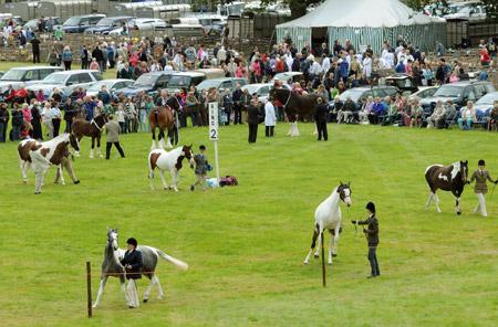 A view of the parade ring at Ryedale Show. 