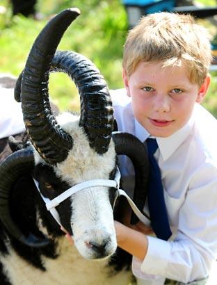 Reece Fenton with his Jacob Tup Shearling Lamb 