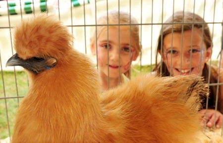 Adele and Olivia  with a Silty Female Champion Hen