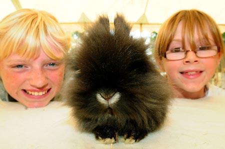 Amy Grayson and Annabel Kent  with  a Lion head rabbit
