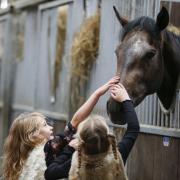 Twins Darcy and Amber Rowsell meet the horses at Richard Fahey yard at a previous Malton Stables Open Day   Picture: Louise Pollard
