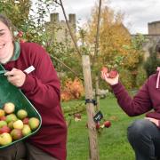 Michelle Hunter, left, and Emma Bowker of Helmsley Walled Garden prepare for their Apple Day on Saturday   Picture: Frank Dwyer
