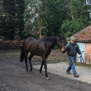 Wusool is a horse with pedigree - his dam, Torrestrella, was a Group 1 winner in France