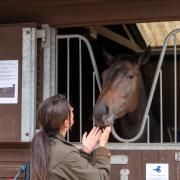 Racing Welfare is set to host a Virtual Yorkshire Open Day next month, in place of the Malton and Middleham events, which have been cancelled due to the coronavirus pandemic