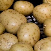 Potatoes were the subject of one of Dan Quayle’s most famous blunders of all back in June 1992   Picture: Pixabay