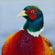 One of Robert Fuller’s paintings of a pheasant