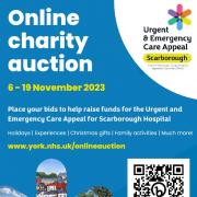Local businesses boost online charity auction to raise funds for Scarborough Hospital