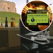 The Olive Tree, Tower Street, has received a one out of five hygiene rating