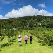 A new project aims to tackle some of the loneliness and wellbeing issues people face in the Howardian Hills, North Yorkshire