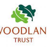 Woodland Trust commemorates First world War with Centenary Woods