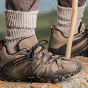 Ryedale Walking Group diary dates     Picture: Pixabay