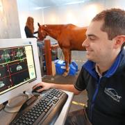 Vet Jonathon Dixon, a European specialist in veterinary diagnostic imaging, at work at Rainbow Equine Hospital in Old Malton