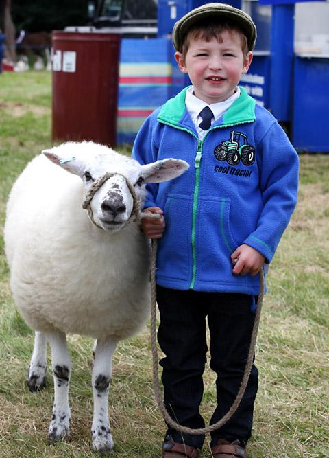 Three year old William, brought his Texel Mule lamb, Daisy, who he has hand reared since she was born four months ago to Malton Show. 