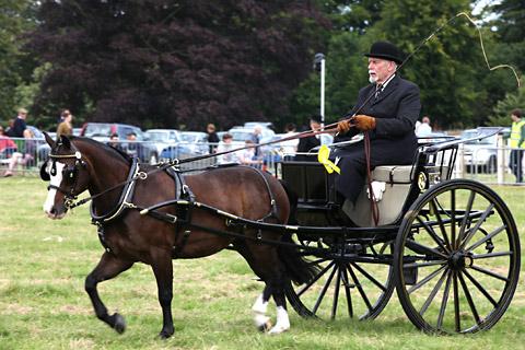 Eric mills Carriage Driving his Welsh Pony at Malton Show.