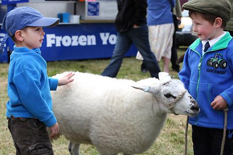 Four year old Ethan, left, met three year old William and his hand-reared lamb Daisy at Malton Show. 