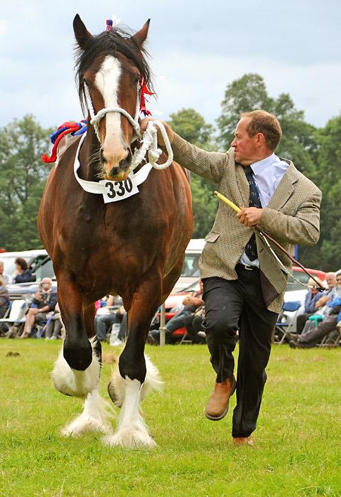 Mark Richardson with his champion shire horse Bewholme Moonlight Sensation, best shire and best heavy horse in show
