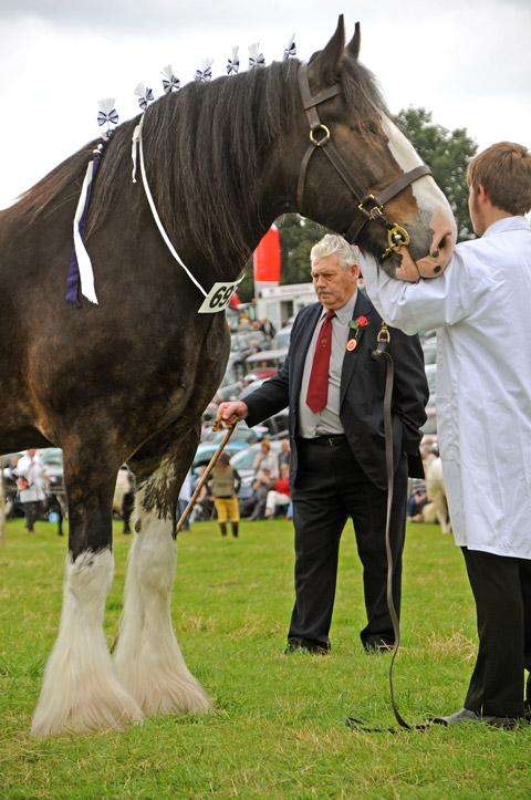 Mr J Russell judging the heavy horse classes
